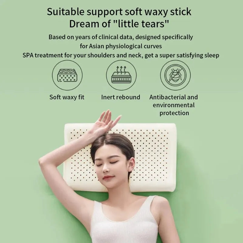 Thai Natural Cervical Pillow