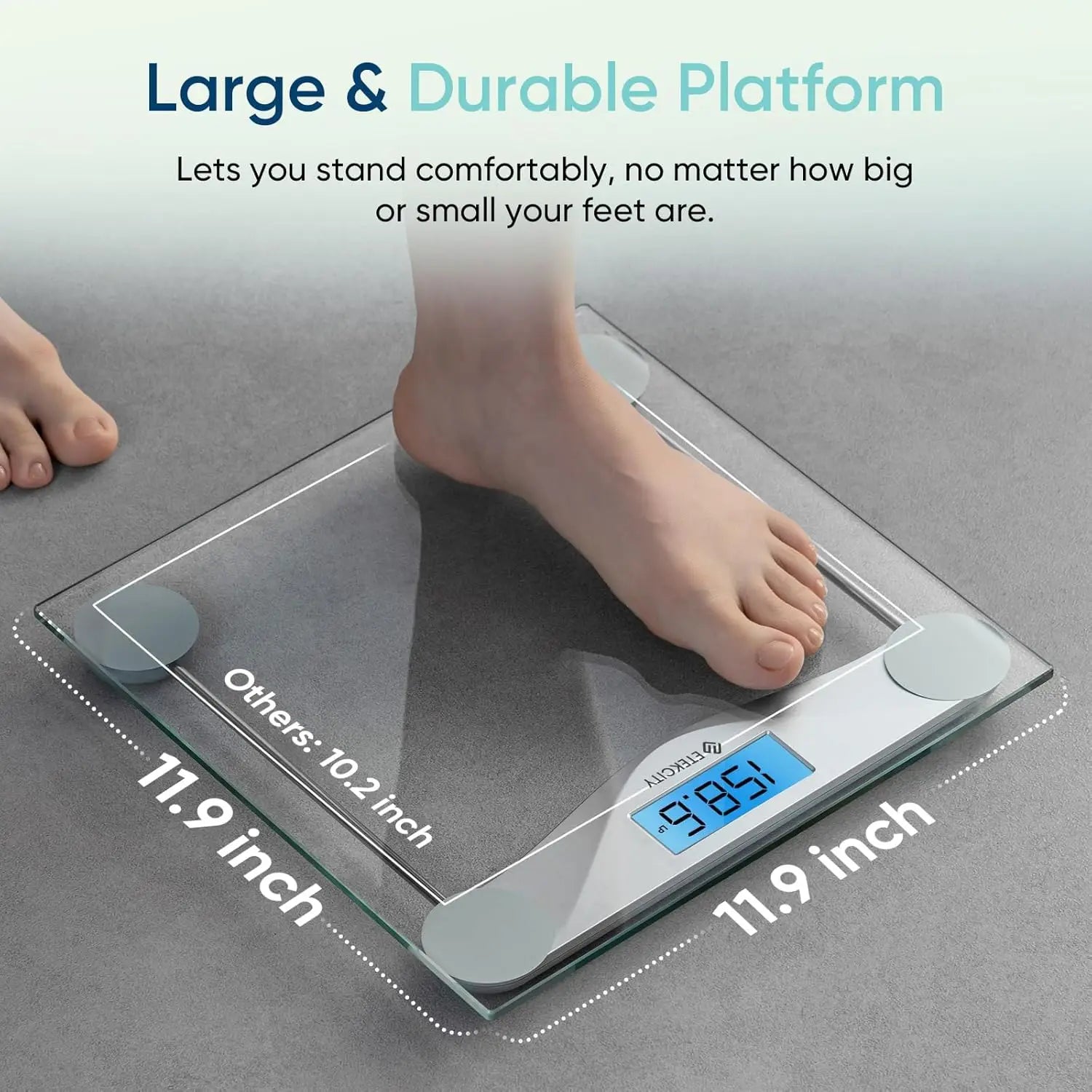 Digital Bathroom Scale